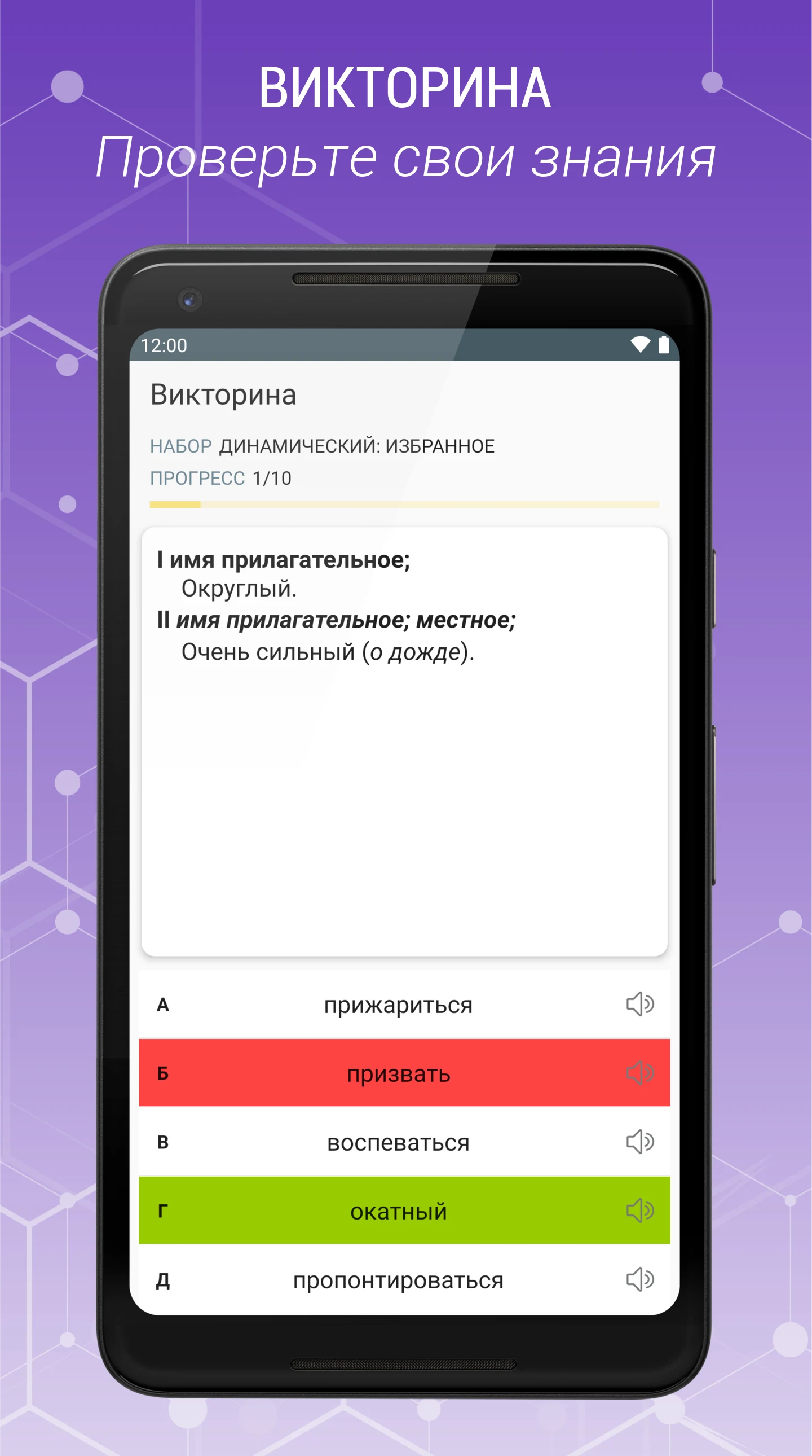 Russian Explanatory Dictionary screenshot