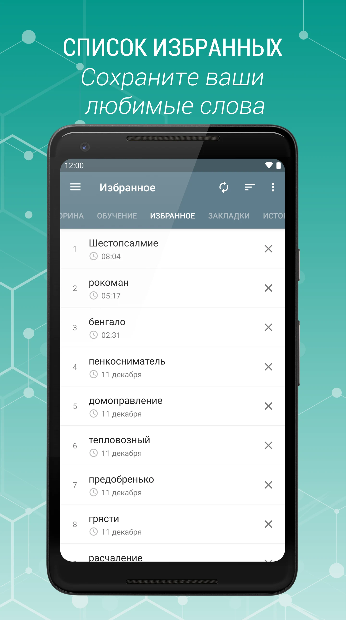 Russian Explanatory Dictionary screenshot